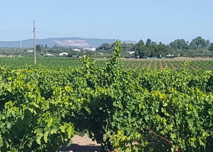 Banos Del Raposo Летний дом Матанегра